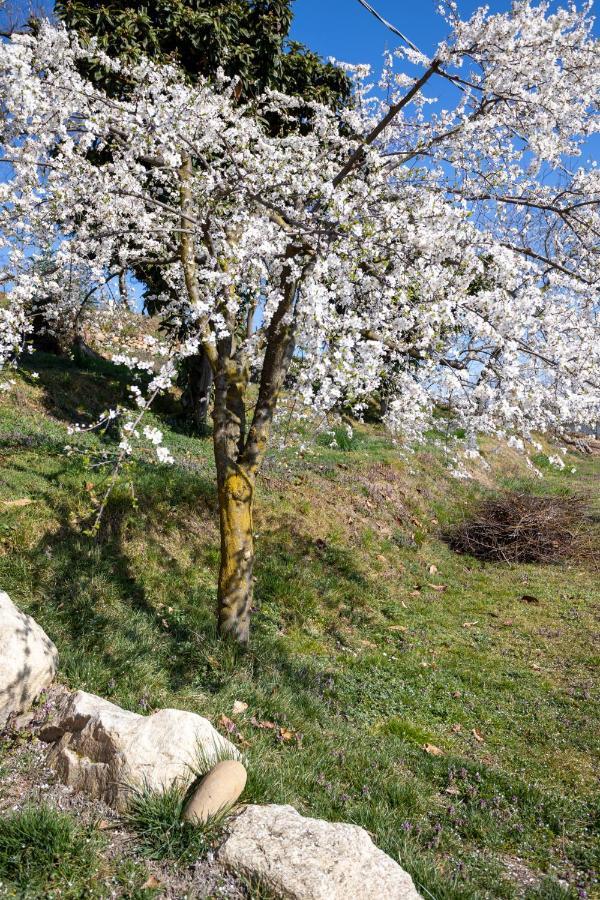 La Cascina Dei Ciliegi Διαμέρισμα Arona Εξωτερικό φωτογραφία